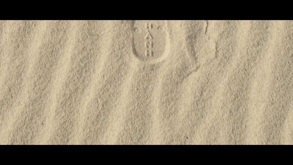 Thumbnail: ECO-ĐI - 4 pieces