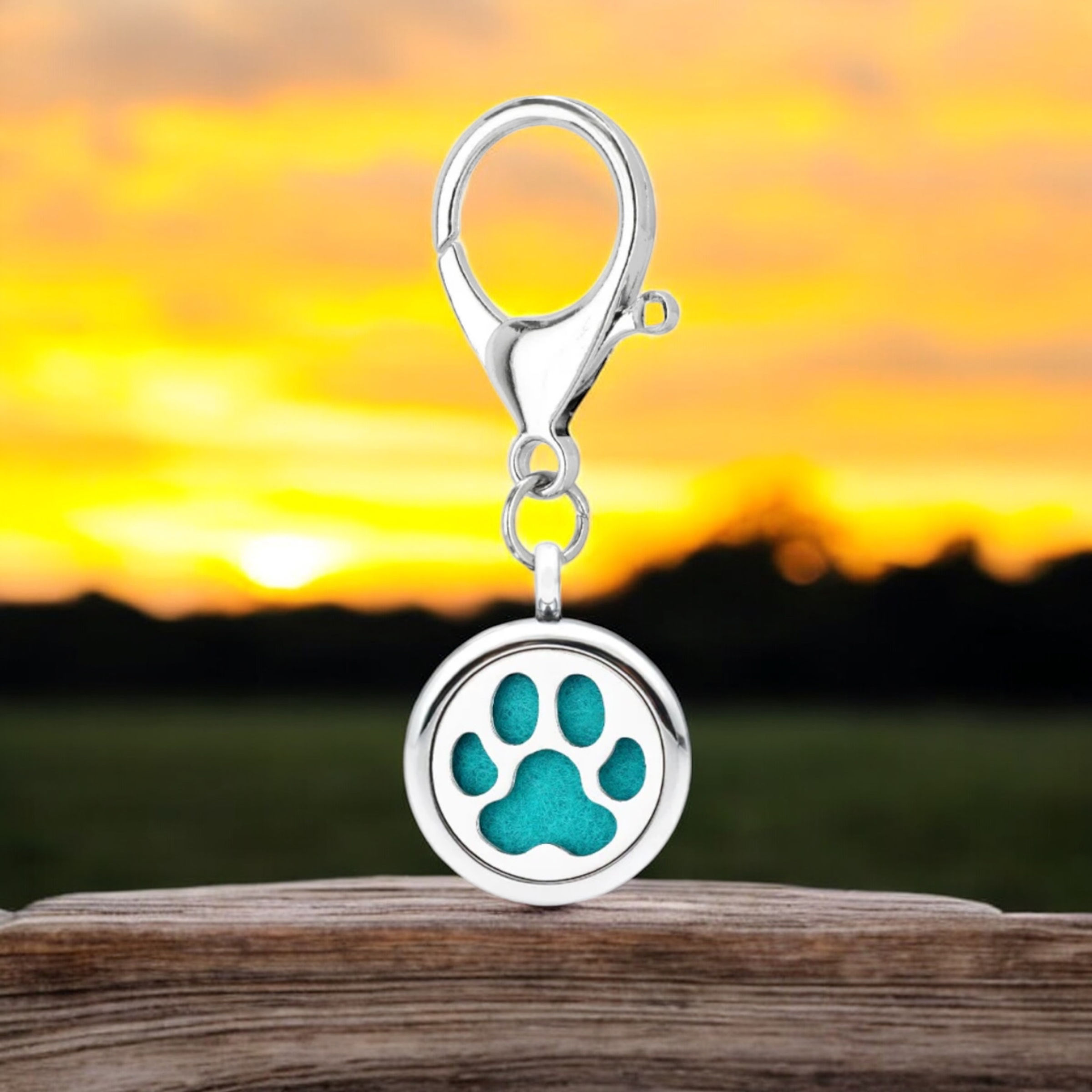 Silver pet aromatherapy diffuser locket