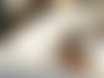 Unlocking Peaceful Sleep: The Power of Anise, Chamomile, Sweet Orange, and Lavender in Our No More Monsters Pillow Spray