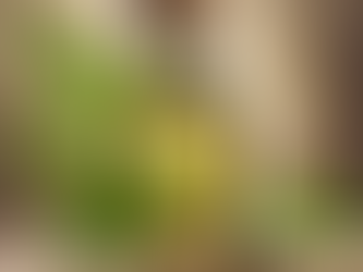 7 Amazing Benefits of Hemp Seed Oil You Need to Know!