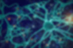 neurons.jpeg