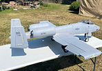 IMG_6040.jpeg