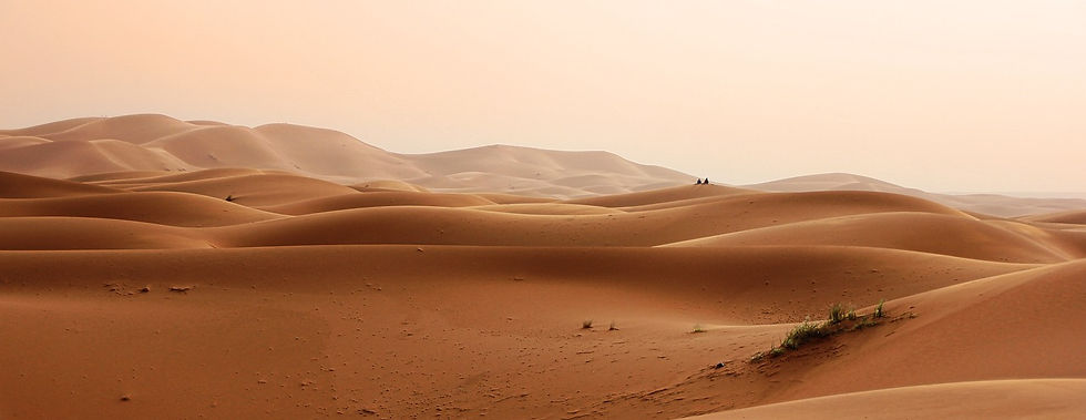 desert-ga4ccadd7e_1280.jpg