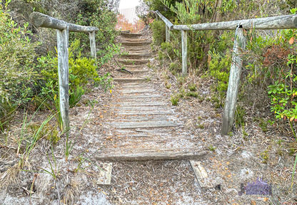 Fort Plantagenet Battery Albany - Gun Emplacement 2