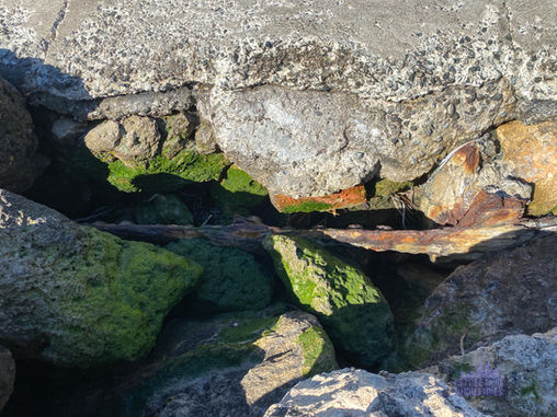 SS Kwinana Shipwreck Jetty Wells Park