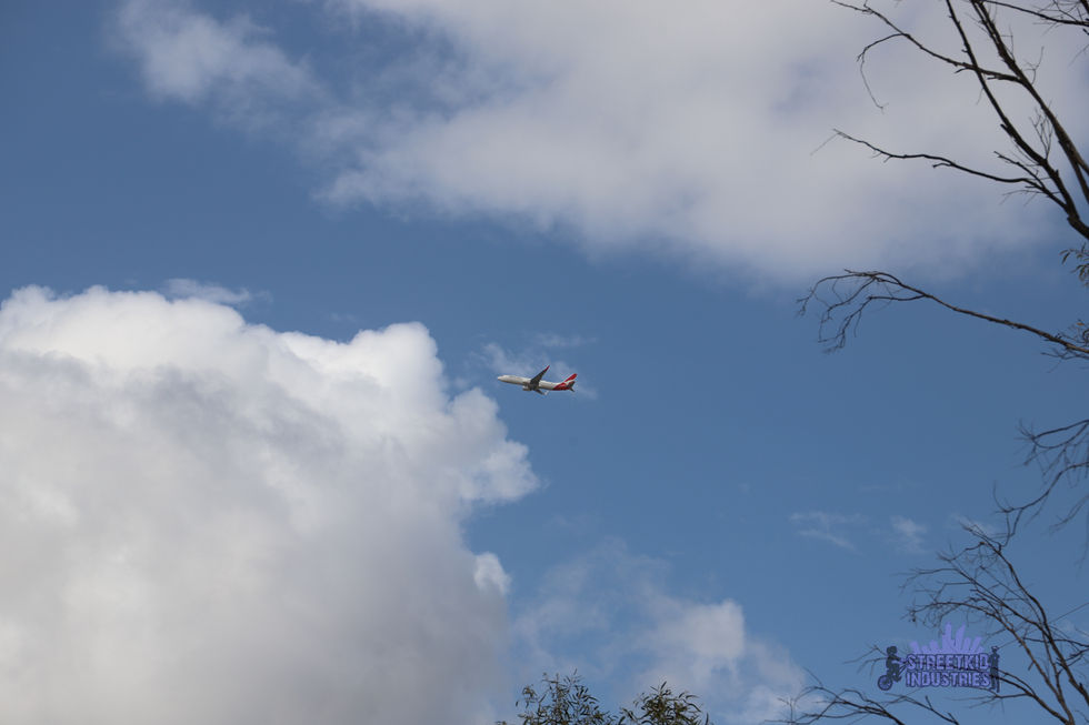 Hazelmere Shearing Shed