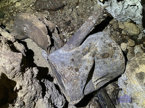 Kwinana Cave