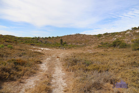 Black Hill - Post-WW2 Shed Debris