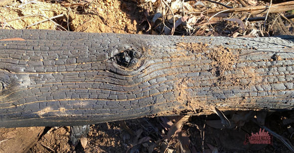Karragullen Bush History