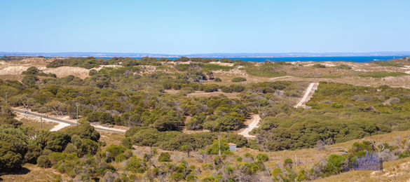 Signal Ridge-Wadjemup Hill Views