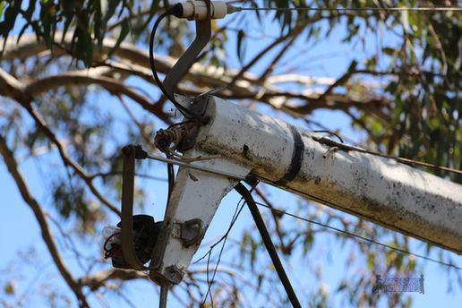 Maddington Attfield House