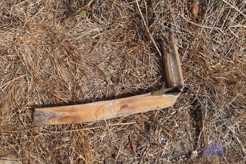 Black Hill - Post-WW2 Shed Debris