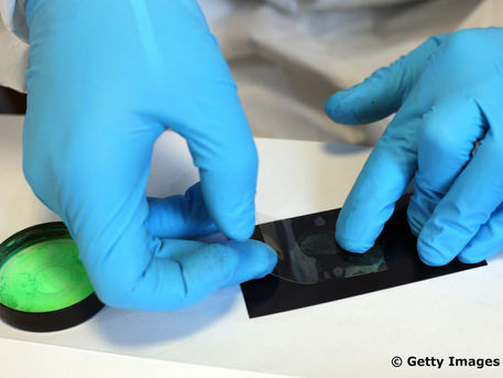 Trace Evidence in Forensic Science