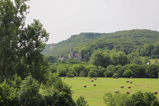 Beynac-et-Cazenac Village