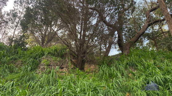 Birdwood Parade Reserve Dalkeith