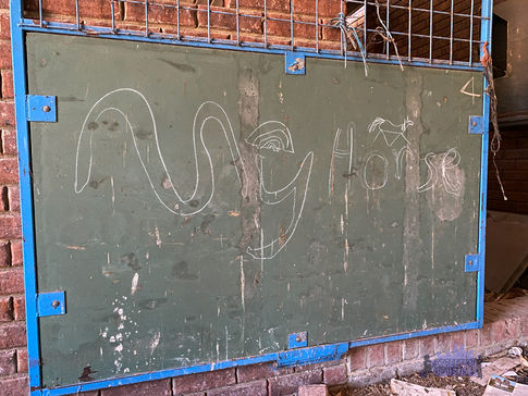 Herne Hill Horse Stables