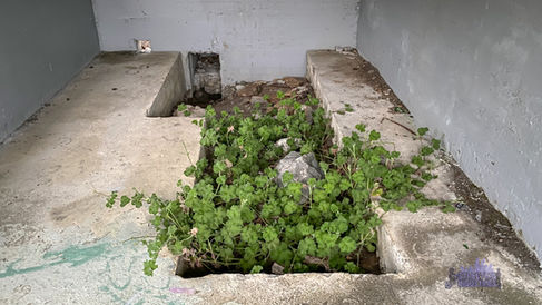 Fort Plantagenet Battery Albany - CSDL Engine Room 1