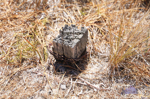 Stark Bay Radar Station - Filled in Dugout 1