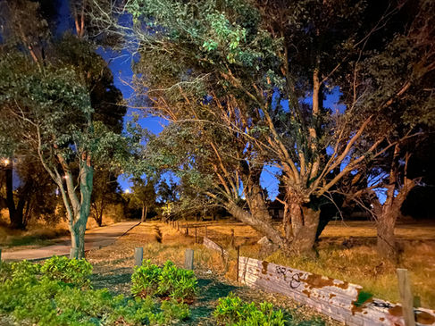 01 - Kenwick Link Train Bridge.jpg