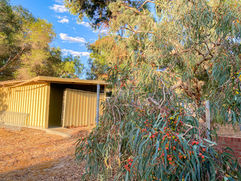 15 - Herbarium Western Australia