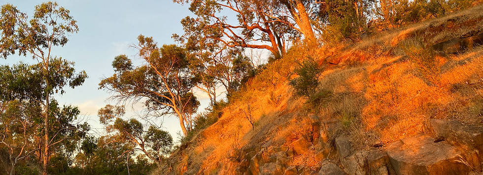 22 - John Forrest National Park.jpg