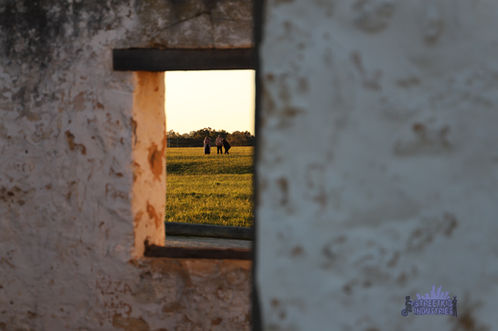 Perry's Paddock Cottage