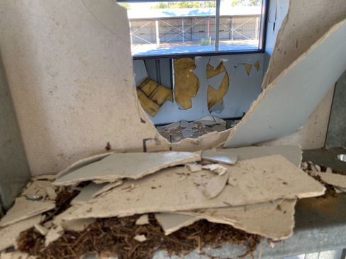 Bushmead Army Transport Division