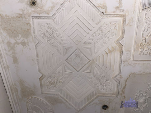 Bayswater HB Brady Plaster Warehouse - Ornamental Motifs