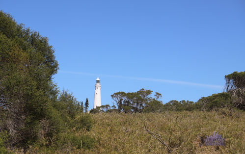 Oliver Hill Battery - Views