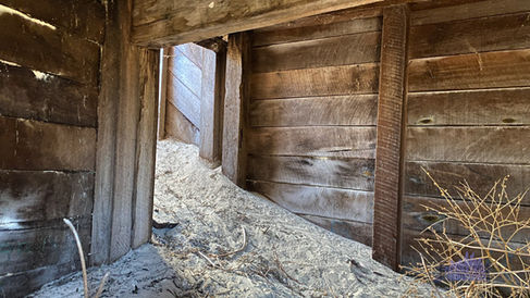 Rottnest Island Foxhole Dugout 5