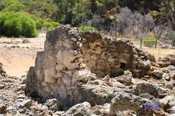 Davilak Estate Ruins Manning Park