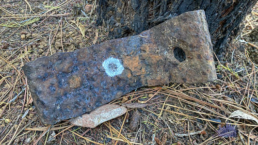 Karragullen Bush History