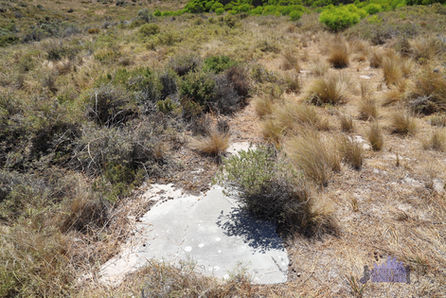 Bickley Battery - Cricket Pitch