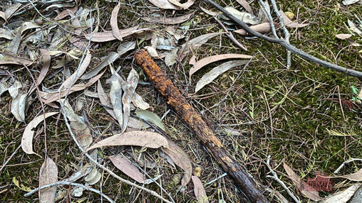 Karragullen Bush History
