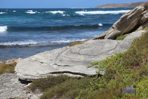 Kitson Point