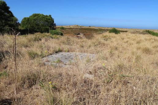 05 - Woodman Point - Pump Station.jpg