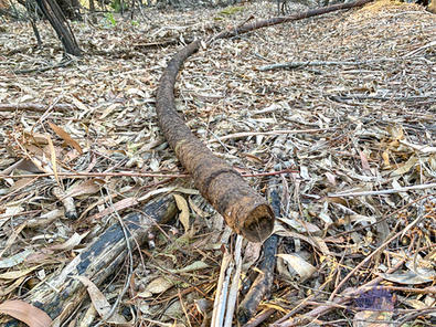 Karragullen Bush History