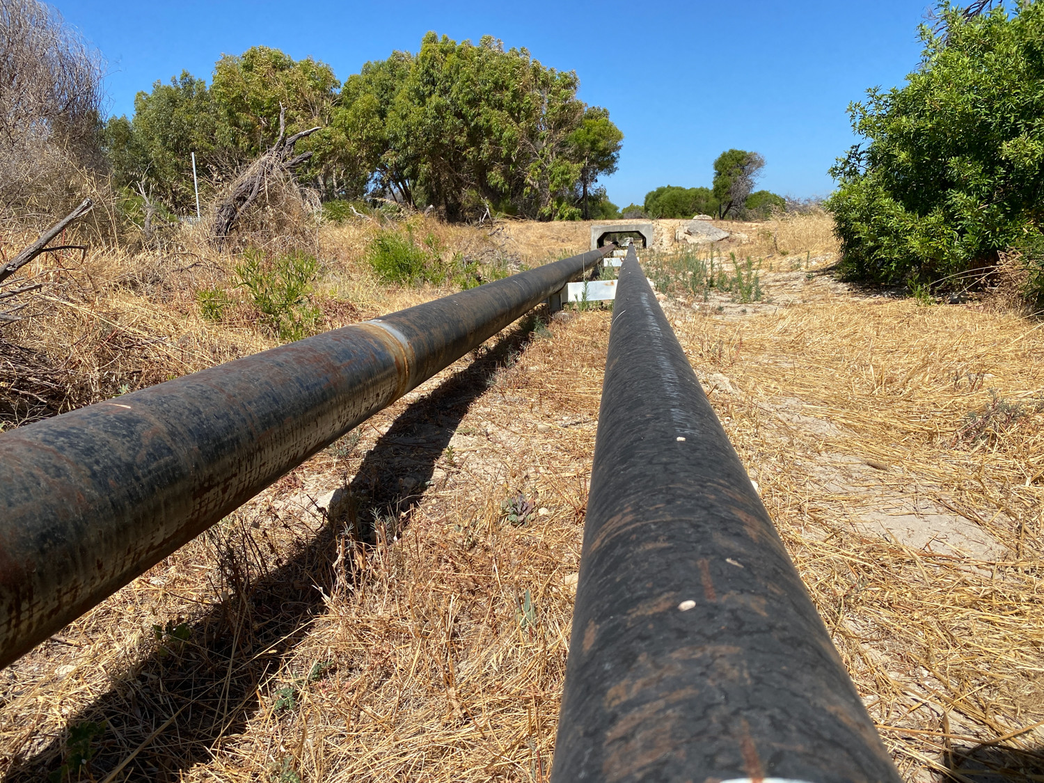 Woodman Point - Slurry Line | Streetkid Industries