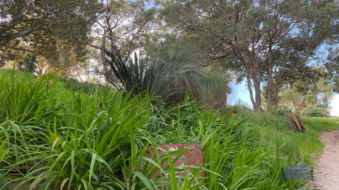 Birdwood Parade Reserve Dalkeith