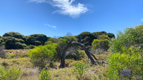 White Hill - Temporary Radar Station