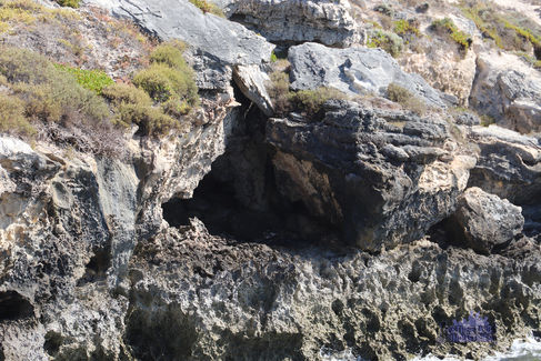 Kitson Point