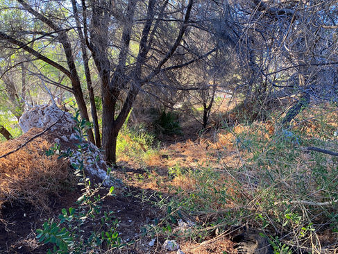 19 - East Fremantle Cave & Limestone Formations.jpg