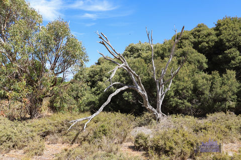 White Hill - Temporary Radar Station