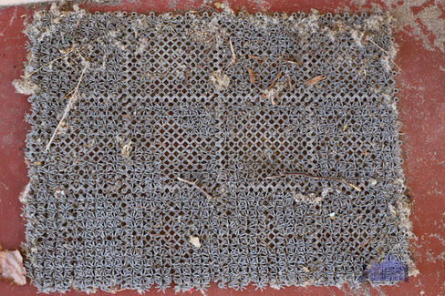 Como Edgecumbe House