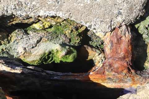 SS Kwinana Shipwreck Jetty Wells Park