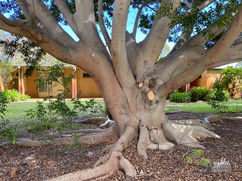 Shenton Park Quadriplegic Rehabilitation Hospital - 2 Orton Street