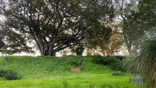 Birdwood Parade Reserve Dalkeith