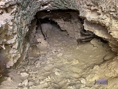 Yalgorup Tunnels