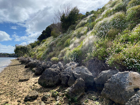 15 - Minim Cove Park Foreshore.jpg