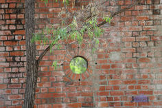 WA Portland Cement Company's Lake Clifton Lime Kiln